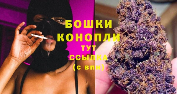 ПСИЛОЦИБИНОВЫЕ ГРИБЫ Грязи