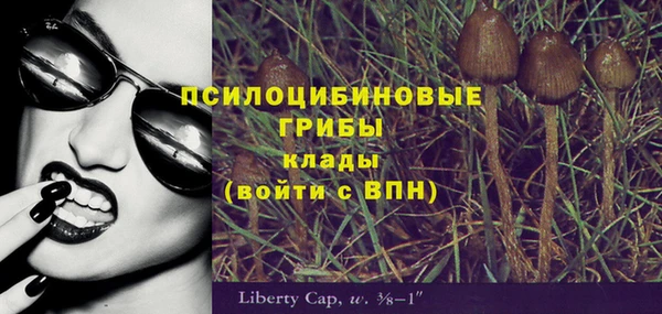 марки nbome Нязепетровск