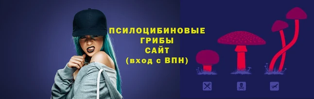 амфетамин Осташков