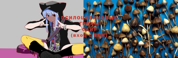 трава Губаха