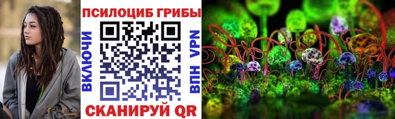 Псилоцибиновые грибы ЛСД Шагонар