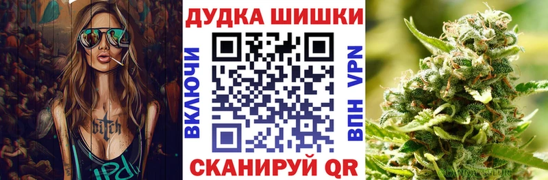 цена   Шагонар  Конопля гибрид 